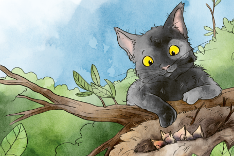 Katze Katze